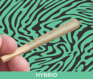 THCa Pre Roll Joint by Crysp
