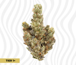 Cold Creek Kush THCa Flower T1+