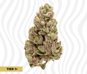 Cake Crasher THCa Flower T1+